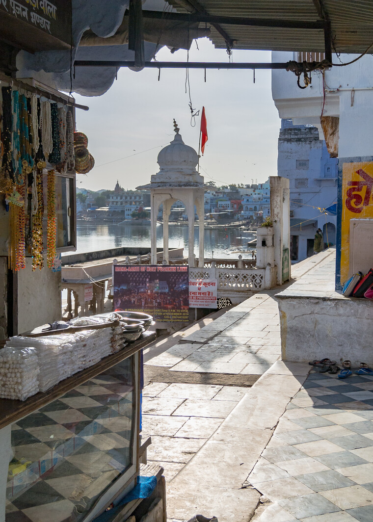 India 2014 - Pushkar 012.jpg